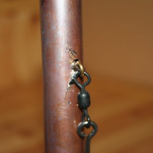 IMG 4628