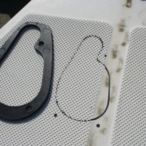 IMG 4650