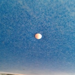 IMAG0549