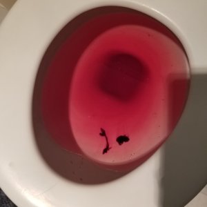 20200323 030553