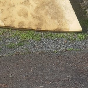 foam bed from boat