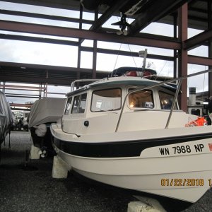 IMG 0732