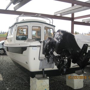 IMG 0729