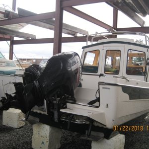IMG 0728