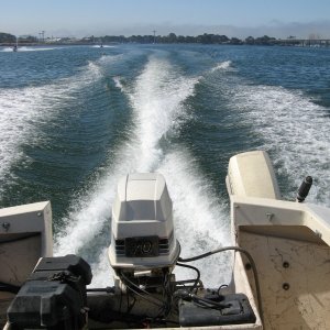 IMG 0602