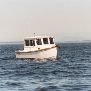(Kay) Knot Yacht