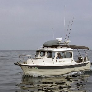 Marcia Jane reaches calm seas