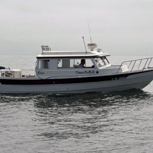Dinner Belle II