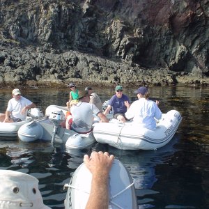 C-Dory dingey tour of the Isthmus... waiting outside "The Cave" to see if Boris emerges!