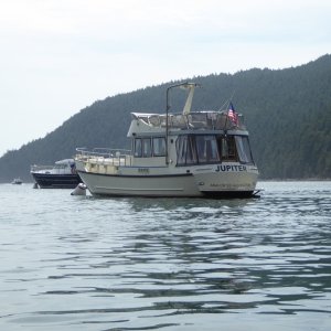 Camano