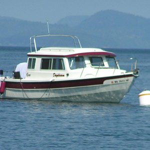 Media '(Pat Anderson) Daydream' in album '(Pat Anderson) Blind Island Marine State Park (San Juans, off Shaw Island)'