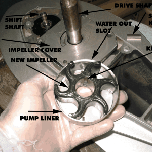 (Alma's Only) Impeller replacement 08
