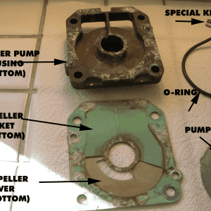 (Alma's Only) Impeller replacement 12