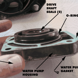 (Alma's Only) Impeller replacement 15