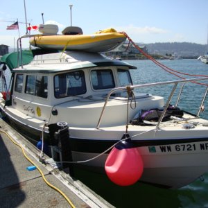 SUNFISH