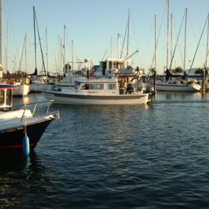 The Marinaut & KNOTTY C
