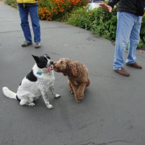 Teddi lets Shadow know she likes him