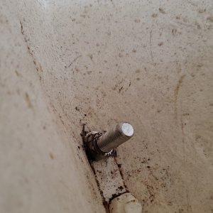 REmoving bow eye