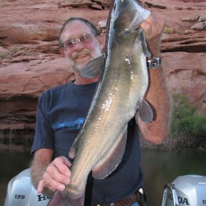 Brent's Cat Fish in Cedar Canyon