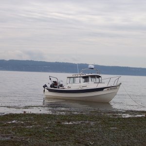 misc. pics 143