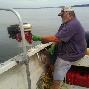 2015 shrimping