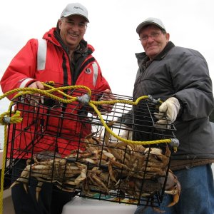 Crab for supper tonight
