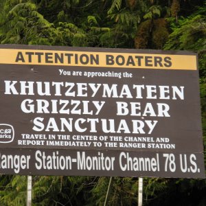 2007 trip to bear country