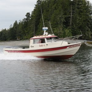 IMG 0080