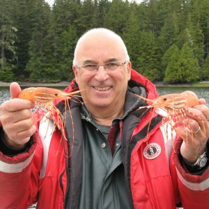 Enough prawns for supper in second trap
