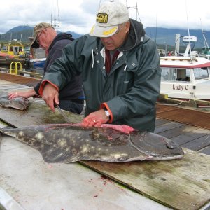 Halibut for the family again this year