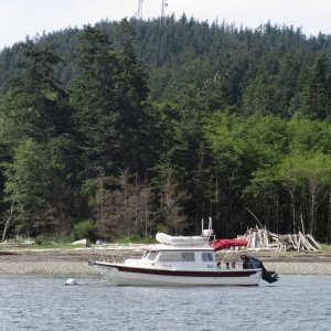 Tosca 25 at Guemes