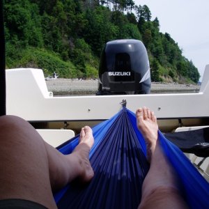 (Roberta Krumm) My new hammock!