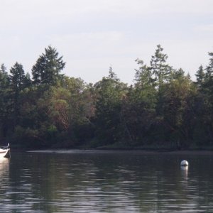 South Sound anchorage