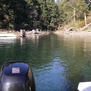 Cove off of Hale Pass Nov 21, 2007