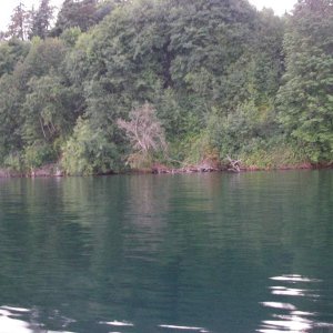 High, slack water, Tacoma Narrows