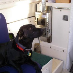 Puck's first ride in the boat.