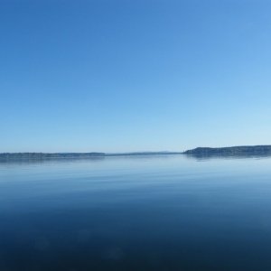 Nisqually Delta.