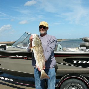 Media '(Cygnet) 31" Texas Red (Red Drum)' in album '(Cygnet) 31" Texas Red (Red Drum)'