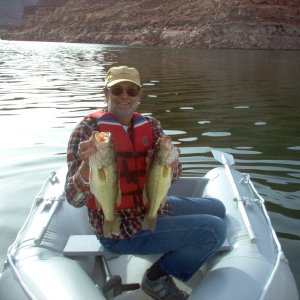 Large Mouth Bass, Lake Powell, Utah