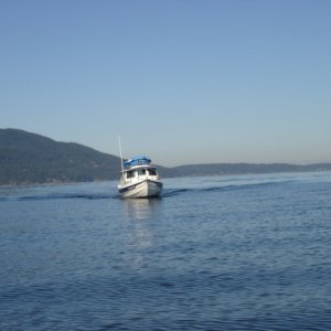 11 Sept 2007
Bellingham Bay 
    HOBBES