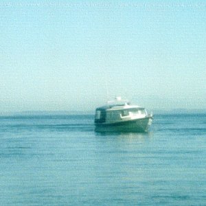 Aug 2006 
Near Matia Island 
   WILD BLUE