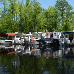 Anchoring out on the \"not so dismal\" swamp