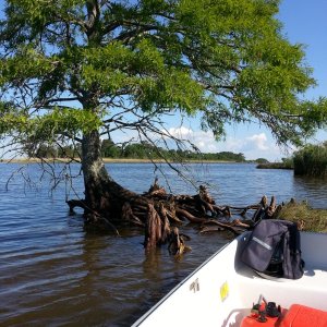 Entrance to Currituck Sound