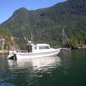 Media 'Desolation 9 7 AM Walsh Cove 9' in album 'Anita Marie'