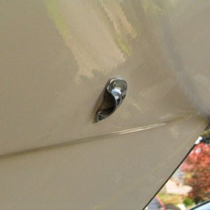 clamshell covering stainless drain tube. Note screen to keep bugs out.