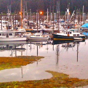 Betty Joe wedged in between two larger cruisers at Hoonah transient dock