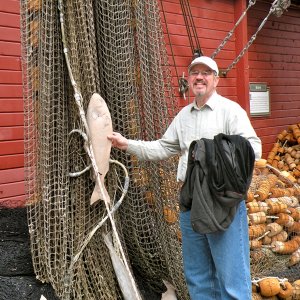 Really \"pink\" salmon on display at Hoonah Trading Co