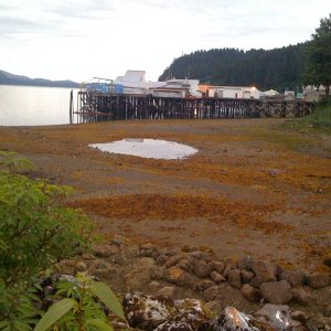 View of cold storage dock from Hoonah Harbor breakwater