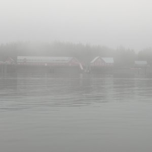 Fog lifted a bit the closer we got to Icy Strait