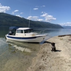 Media 'Adams Lake, Bc' in album 'New to me 2009 Angler 19'